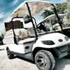 Veicolo elettrico 2 posti - Italcar Attiva 2L.6 - immagine 3