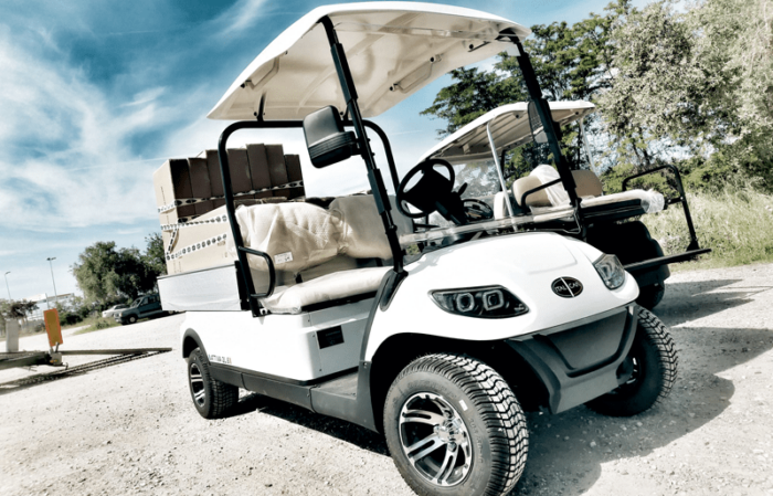 Veicolo elettrico 2 posti - Italcar Attiva 2L.6 - immagine 3