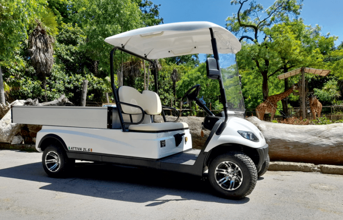 Veicolo elettrico 2 posti - Italcar Attiva 2L.6 - immagine 2