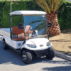 Veicolo elettrico 2 posti - Italcar Attiva 2L.6 - immagine 4